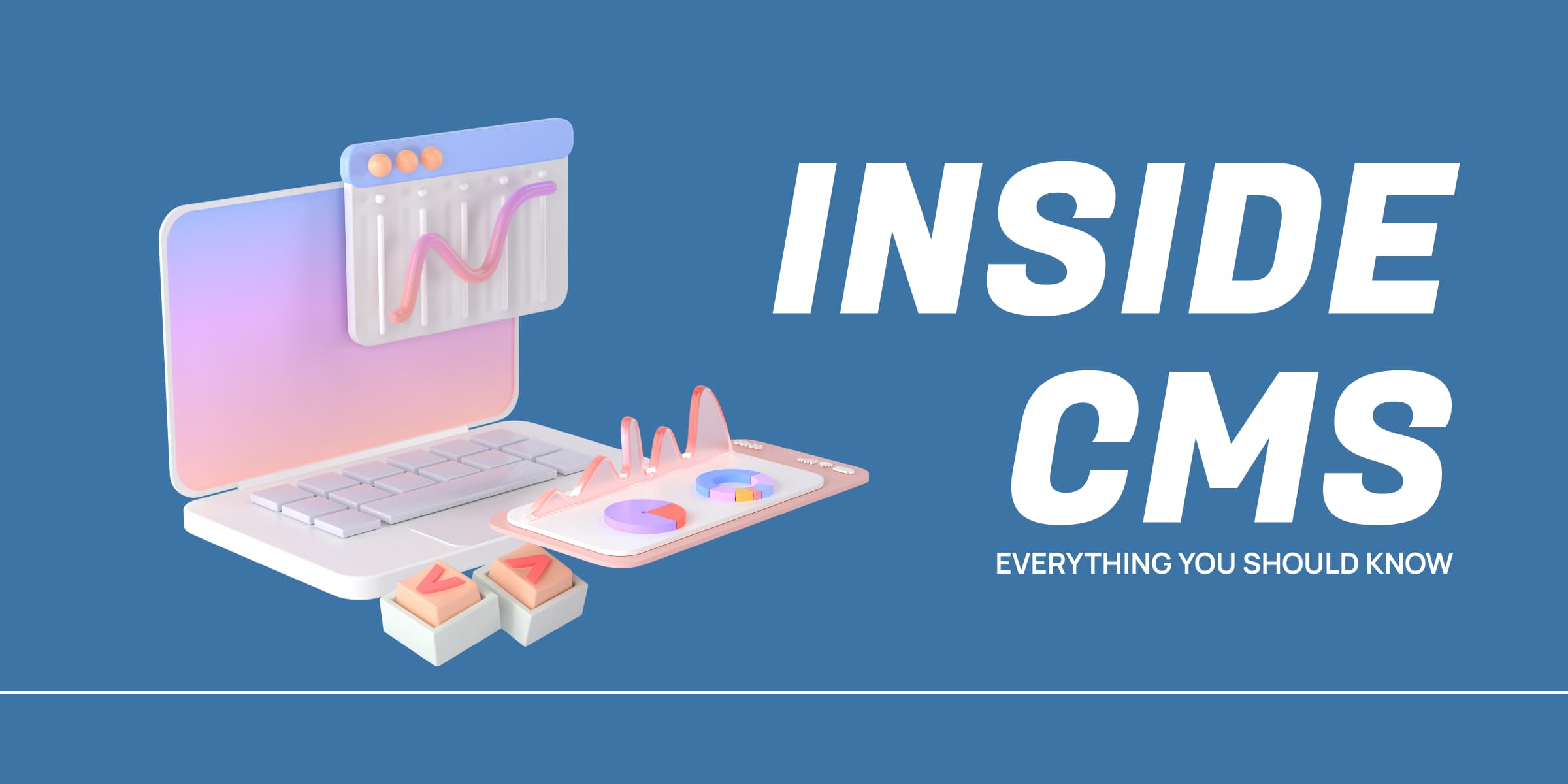 Inside CMS Everything You Should Know