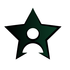 5 Star Google & Wix Rating