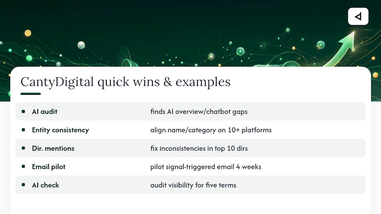 CantyDigital's approach: applied examples and quick wins — overview diagram
