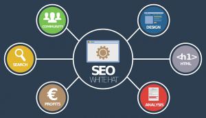 seo strategies for every business