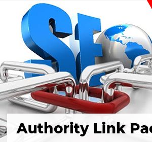 seo authority link package