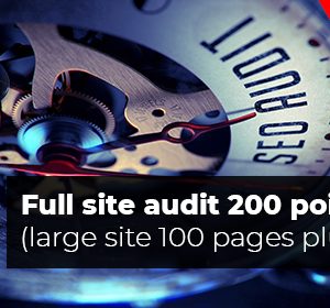 full site audit 200 point