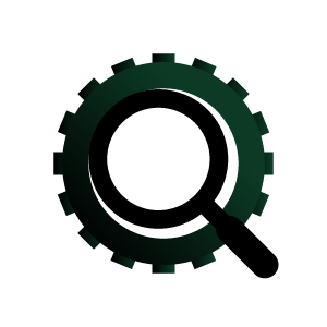 Professional SEO Services