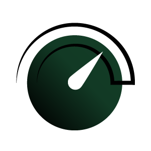 WordPress Page Speed