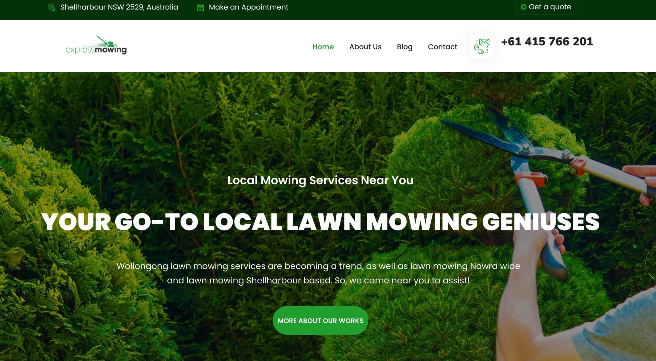 Lawn Mowing Service